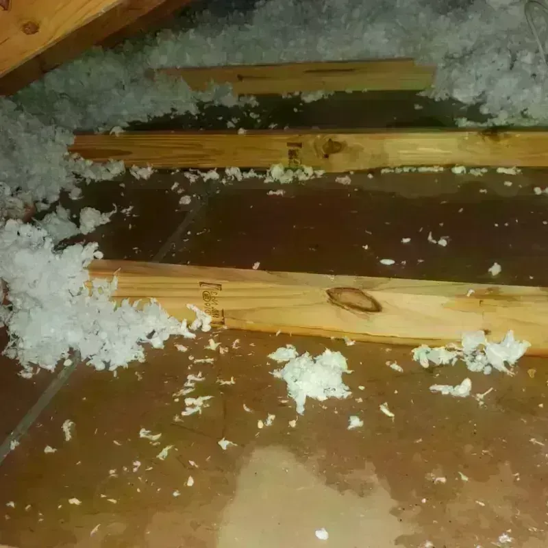 Attic Water Damage in Rapides Parish, LA